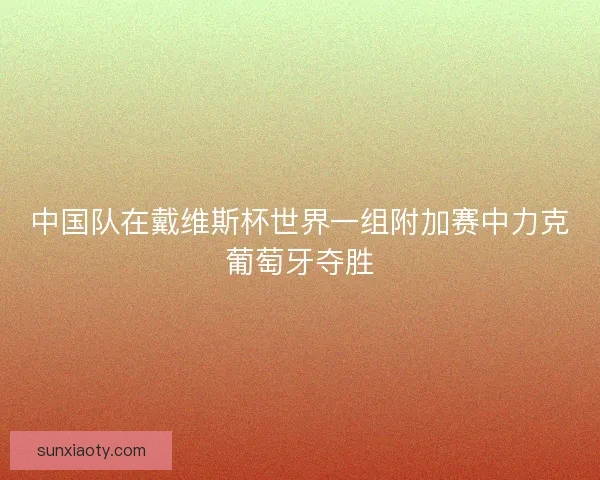 中国队在戴维斯杯世界一组附加赛中力克葡萄牙夺胜 中国队在戴维斯杯世界一组附加赛中力克葡萄牙夺胜