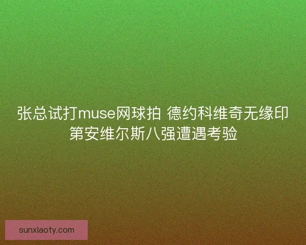 张总试打muse网球拍 德约科维奇无缘印第安维尔斯八强遭遇考验 张总试打muse网球拍 德约科维奇无缘印第安维尔斯八强遭遇考验